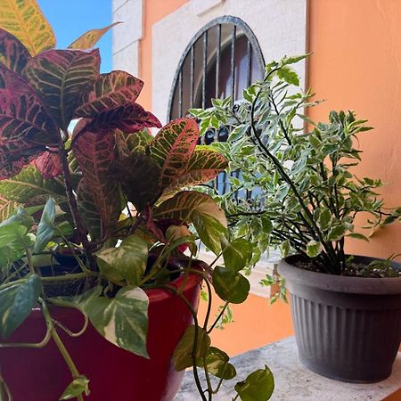 Hotel Casa Mallorca Cancun Dış mekan fotoğraf