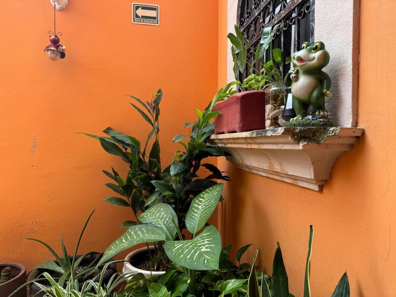 Hotel Casa Mallorca Cancun Dış mekan fotoğraf