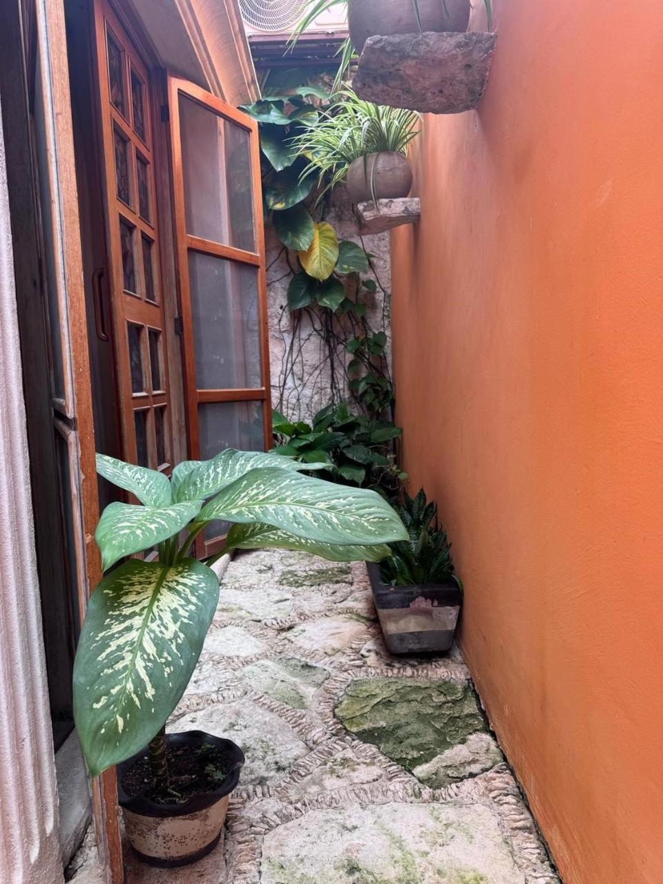 Hotel Casa Mallorca Cancun Dış mekan fotoğraf