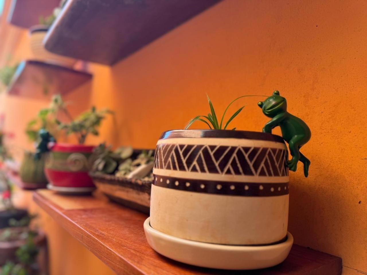 Hotel Casa Mallorca Cancun Dış mekan fotoğraf