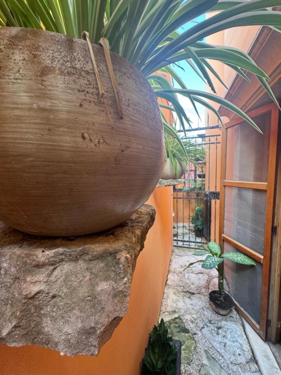 Hotel Casa Mallorca Cancun Dış mekan fotoğraf
