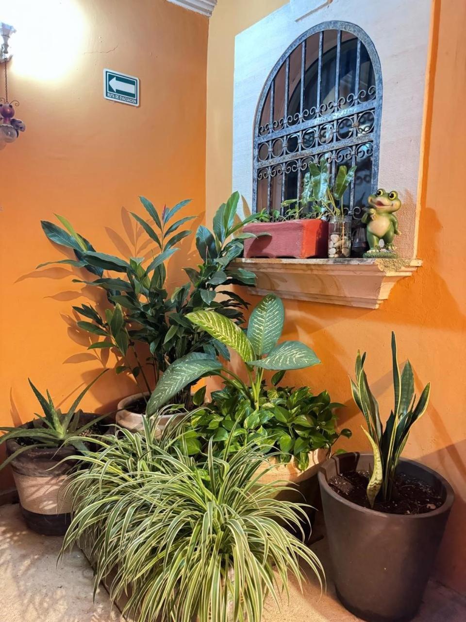 Hotel Casa Mallorca Cancun Dış mekan fotoğraf